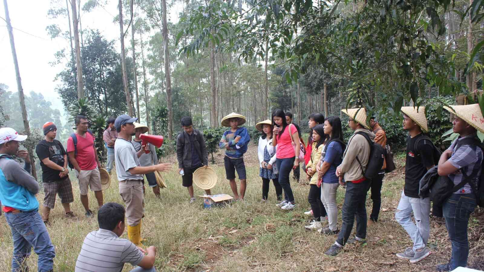Field Trip Coffee Tourism